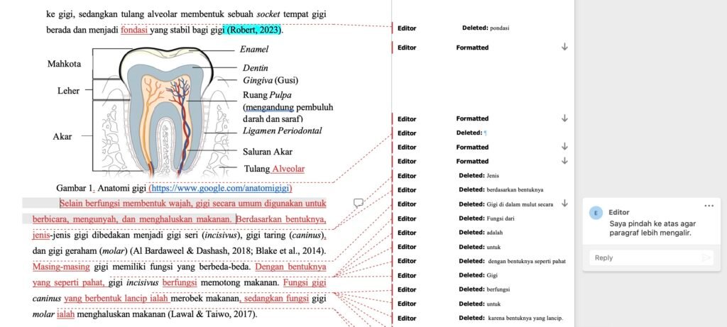 ENGLISH++ - Contoh Jasa Proofread Indonesia 3